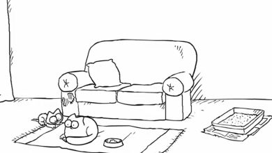 Gato Simon - Duplo problema 10