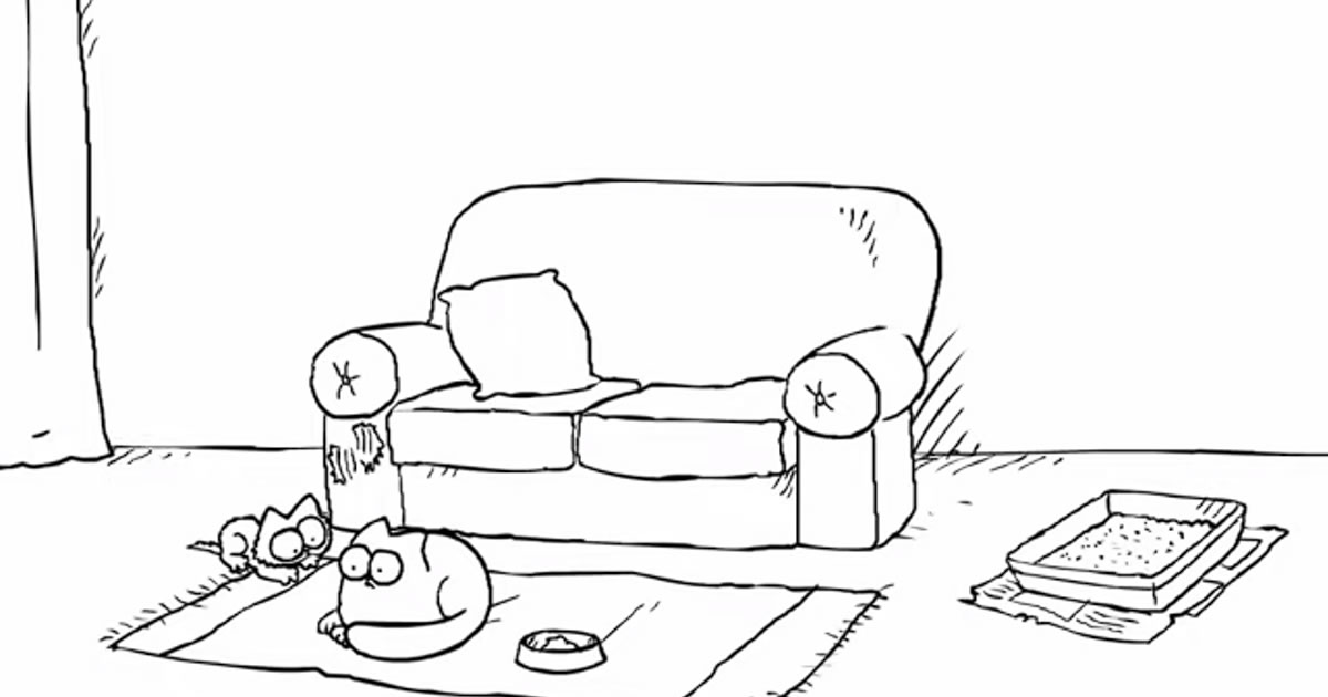 Gato Simon – Duplo problema