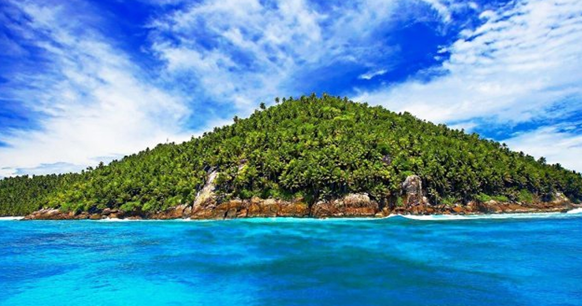 Como você sobreviveria em uma ilha deserta ? 1