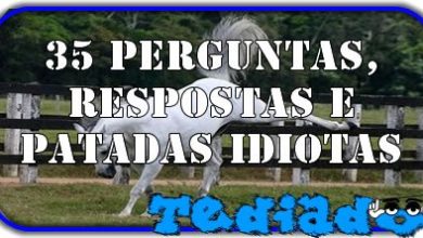 35 Perguntas, respostas e patadas idiotas 5