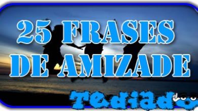 25 frases de amizade 2