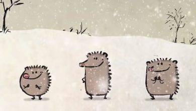 Ouriços e canções natalinas 7