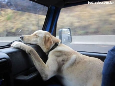 Fotos da Net (09) 59