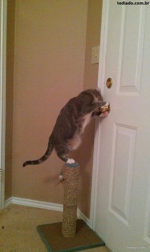 Fotos da Net (09) 63