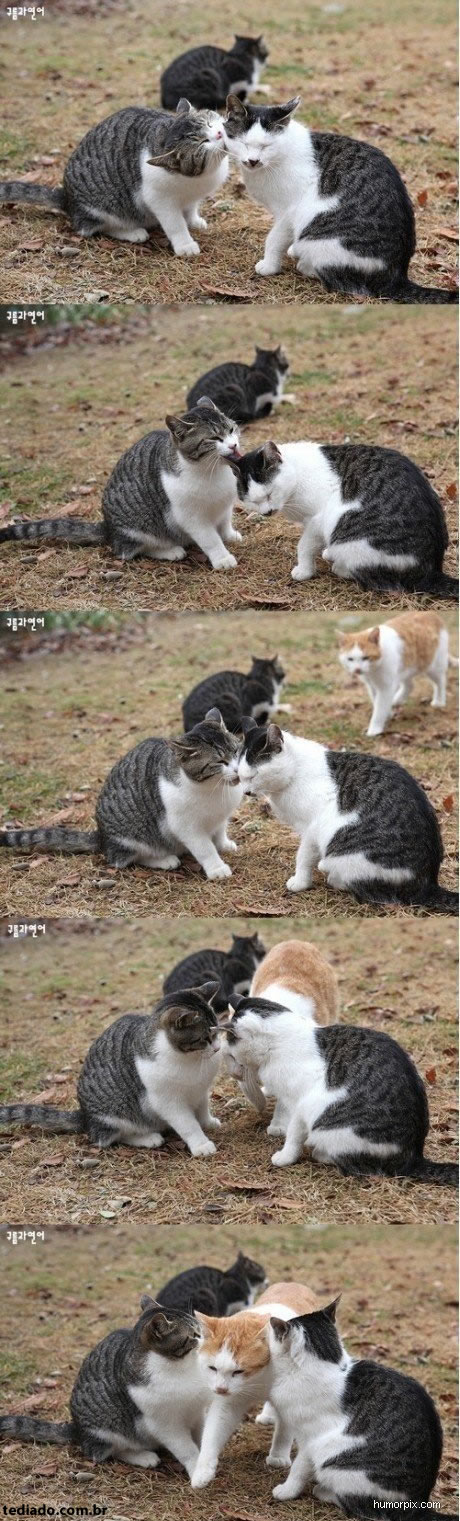 Fotos da Net (09) 65