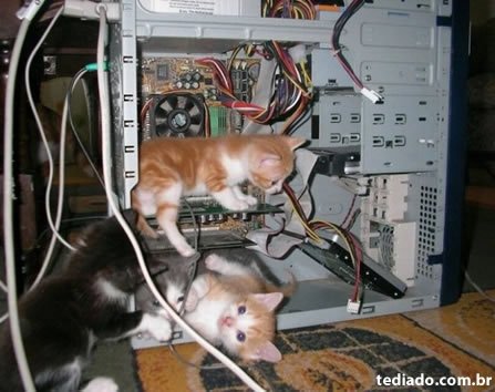 Fotos da Net (09) 70