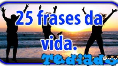 25 frases da vida 4