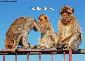 Fotos da Net (10) 39