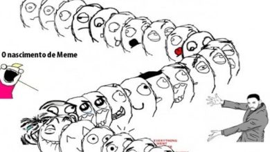 Memes 47