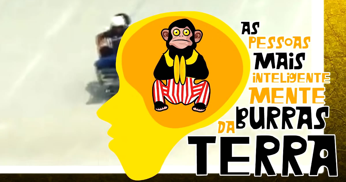 As Pessoas Mais Inteligentemente Burras da Terra 9