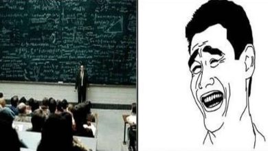 Bem-vindo de volta ESCOLA 36