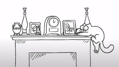 Gato Simão - Vida útil 5