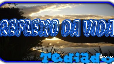Reflexo Da Vida 7