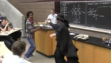 Zorro aparece e salva o dia durante a aula de Química, na universidade de Michigan 4