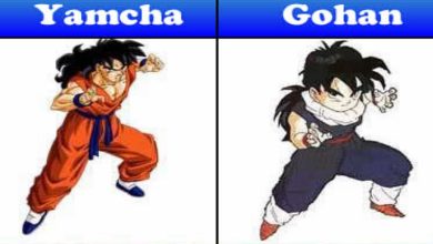 Descobrir o que o Yamcha fez 28