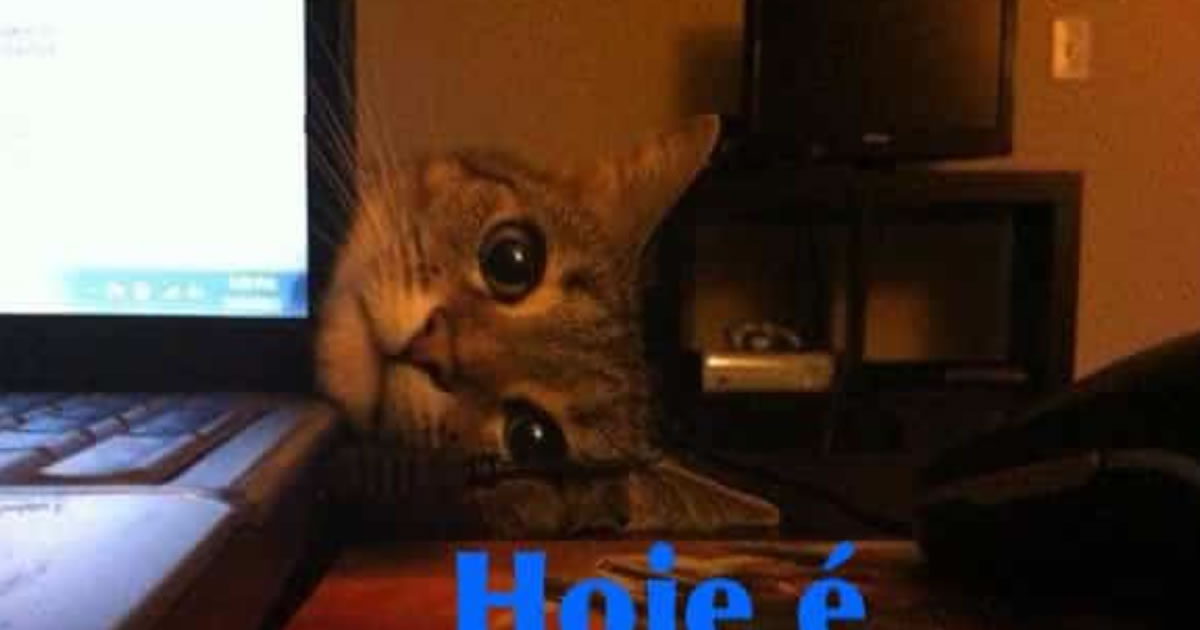 Hoje é segunda feira