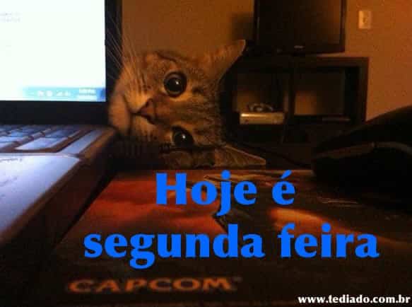 Hoje é segunda feira 3