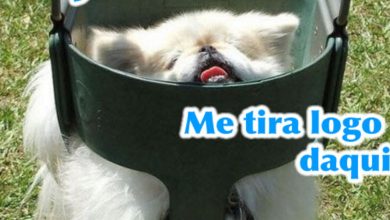 Hoje é Sexta Feira 24