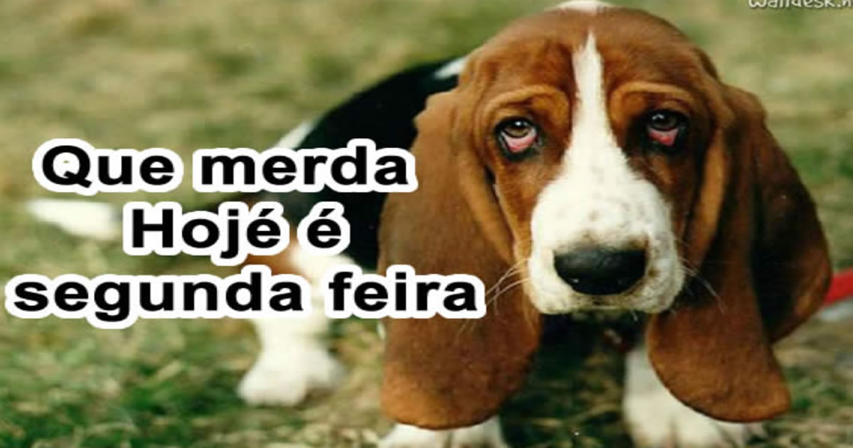 Segunda Feira