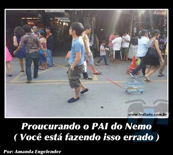 Fotos da Net (13) 43