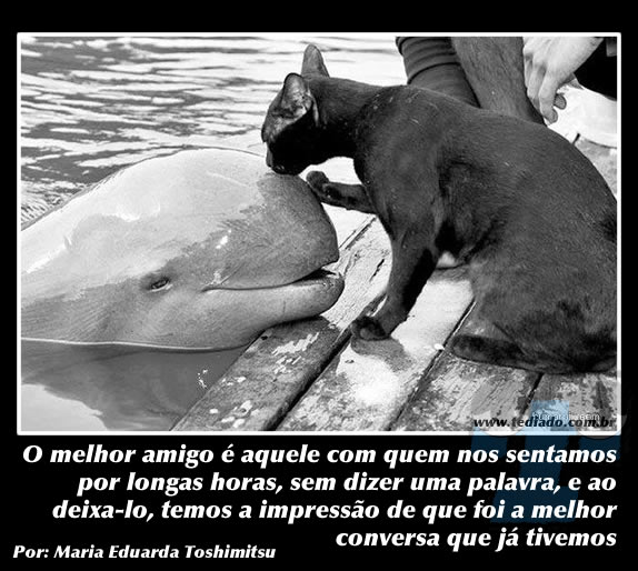 Fotos da Net (13) 47