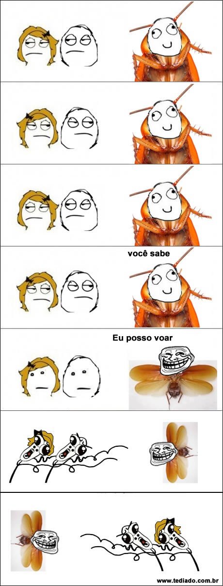 Asas! Elas são muito importante 3
