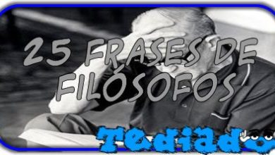 25 Frases de Filósofos 6