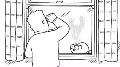Gato Simão – A janela 3
