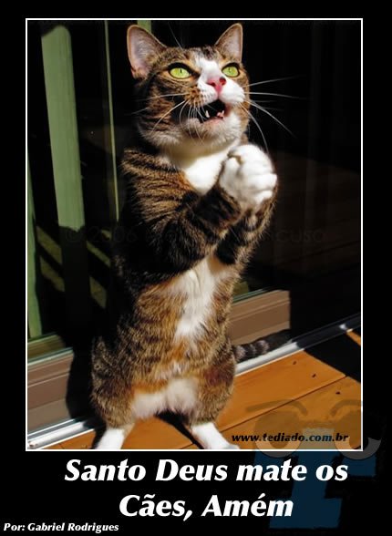 Plaquinhas divertidas #7 41