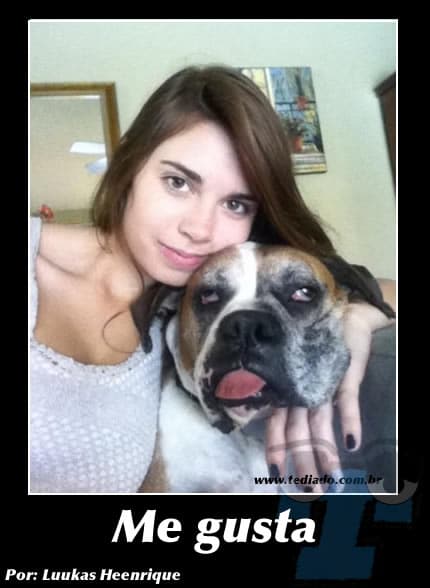 Plaquinhas divertidas #7 42