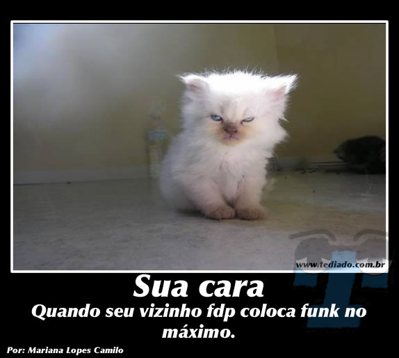 Plaquinhas divertidas #5 43