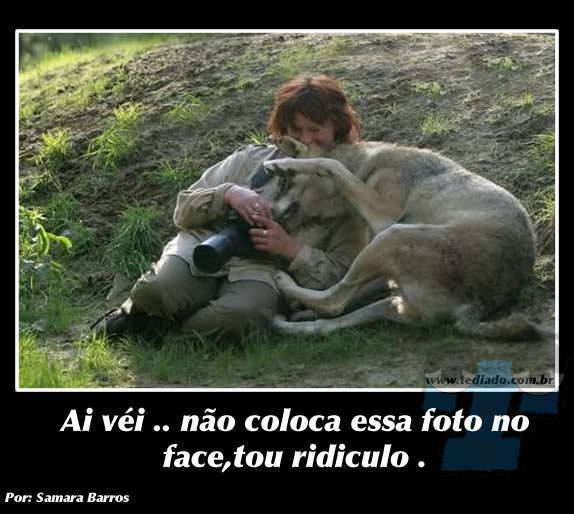 Plaquinhas divertidas #5 44