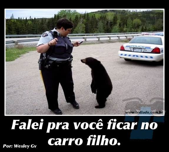 Plaquinhas divertidas #5 46