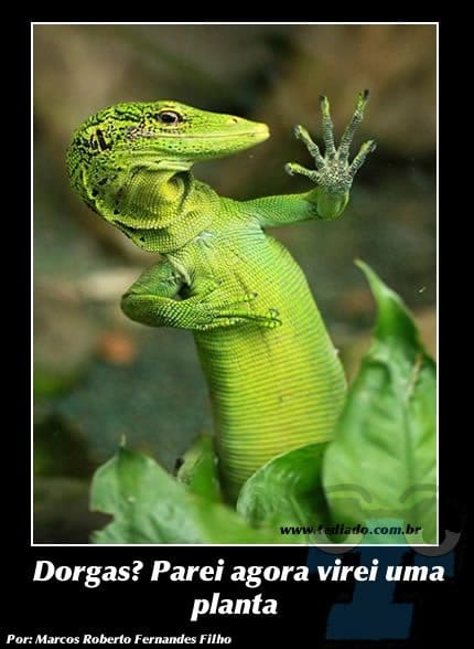 Plaquinhas divertidas #5 47