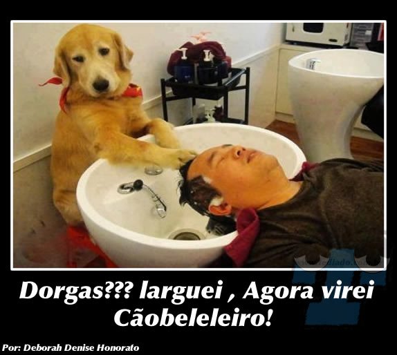 Plaquinhas divertidas #5 48