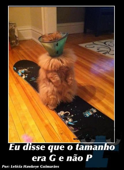 Plaquinhas divertidas #5 49