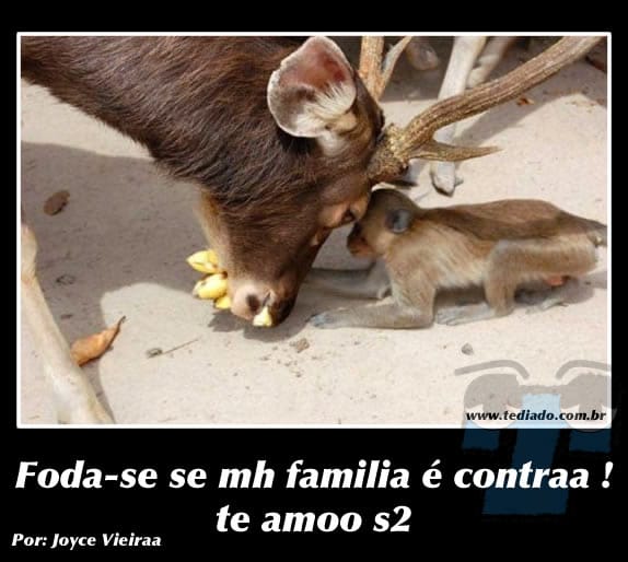 Plaquinhas divertidas #7 49