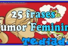 25 frases Humor Feminino 9