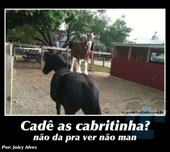 Plaquinhas divertidas #10 22