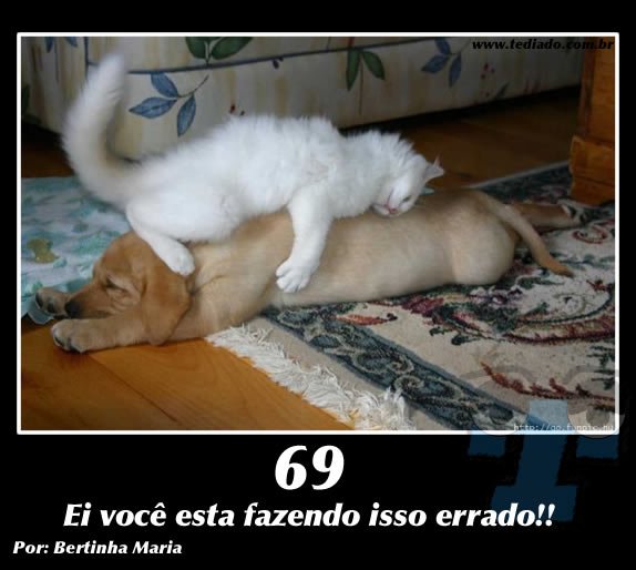 Plaquinhas divertidas #8 23