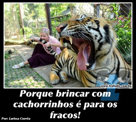 Plaquinhas divertidas #11 51