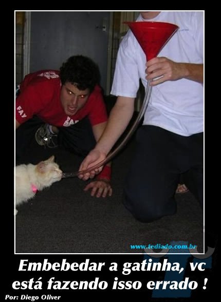 Plaquinhas divertidas #8 25