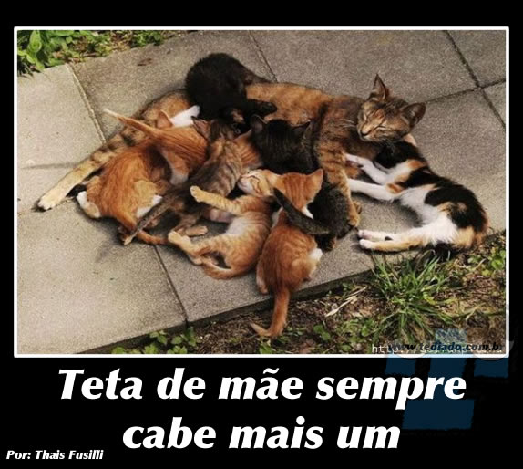 Plaquinhas divertidas #10 26