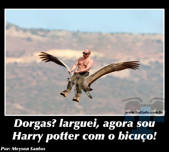 Plaquinhas divertidas #9 47