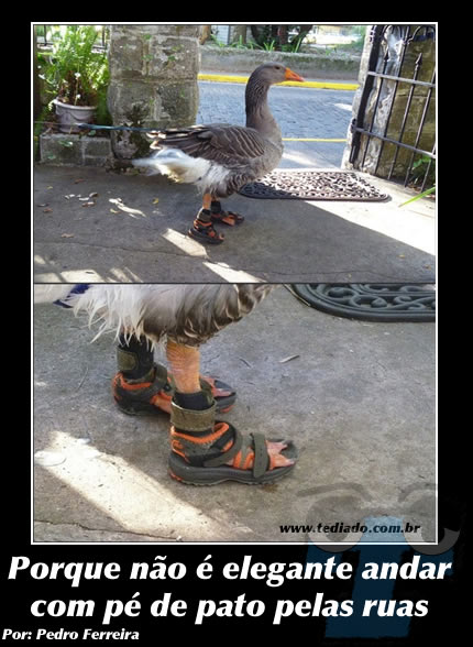 Plaquinhas divertidas #9 48