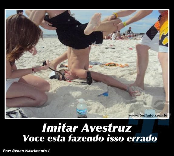 Plaquinhas divertidas #10 28