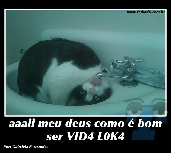 Plaquinhas divertidas #8 29