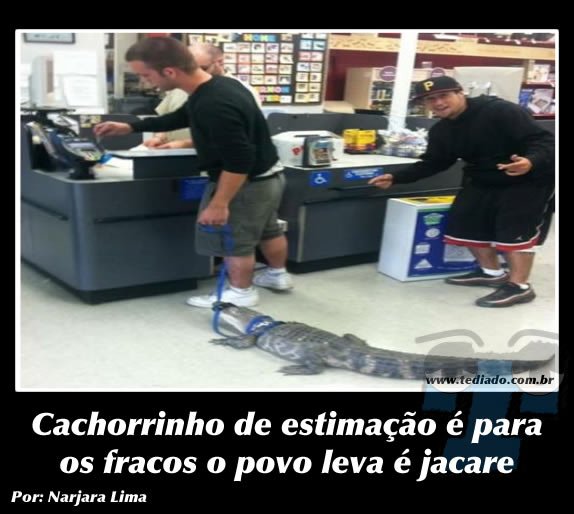 Plaquinhas divertidas #10 30