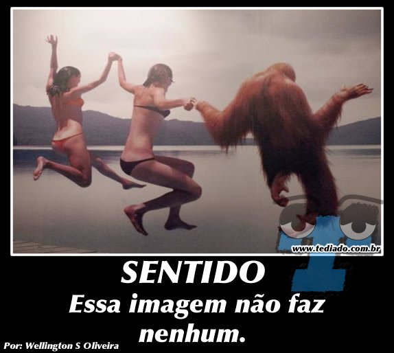 Plaquinhas divertidas #11 60