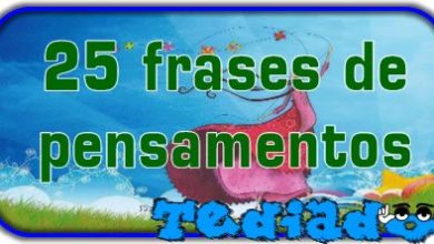 25 frases de pensamentos 8